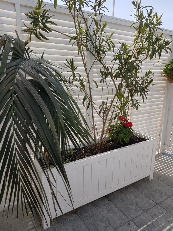 Citrus Boutique Hotel Baku Exterior foto